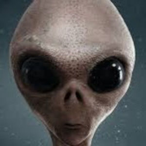 Meet your Posher, The